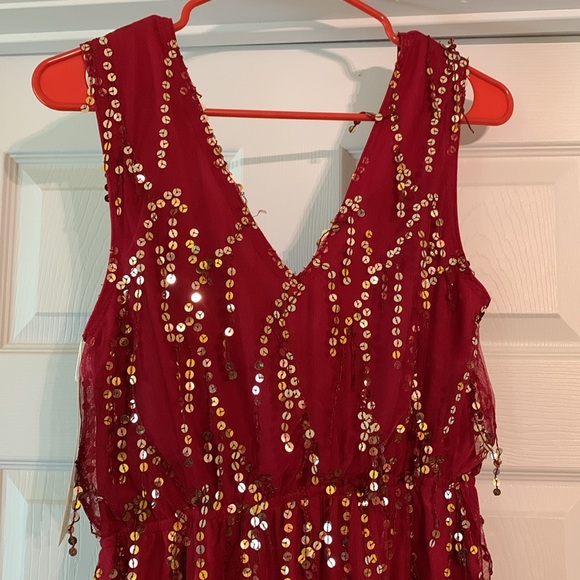 Rumor Going Round wine colored sequin dress by Southern Fried Chics - Picture 4 of 4